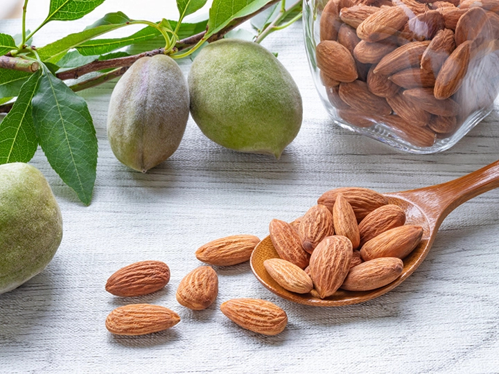 アーモンドの果実