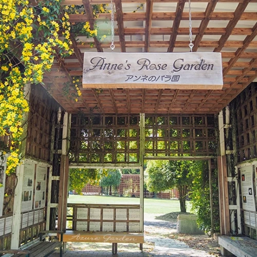 アンネのバラ園（Anne's Rose Garden）