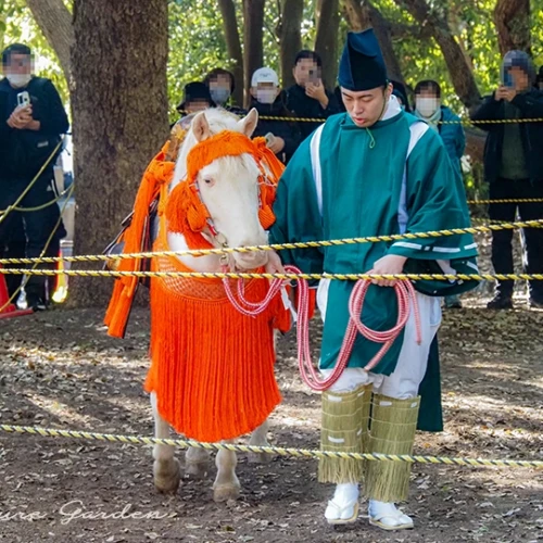 白馬神事前の様子
