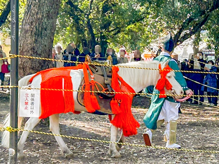 白馬神事前の様子