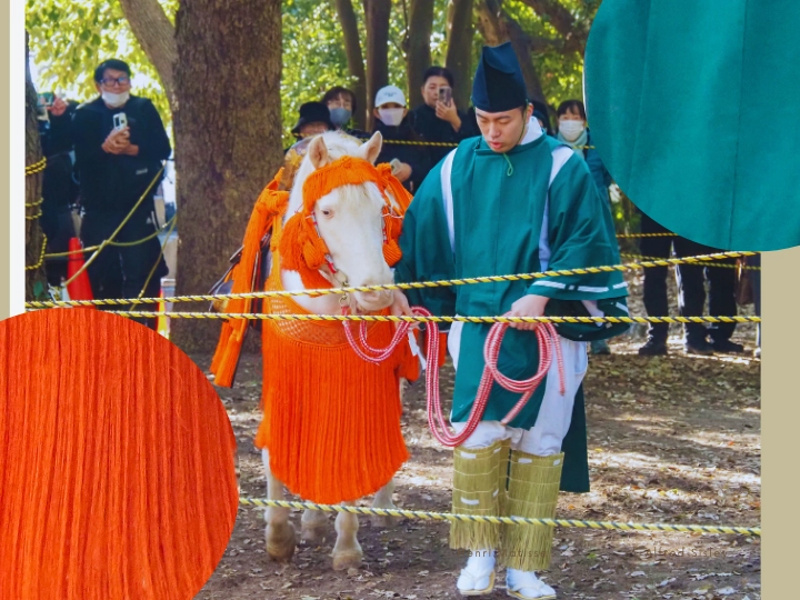 白馬神事で印象に残った日本の伝統色