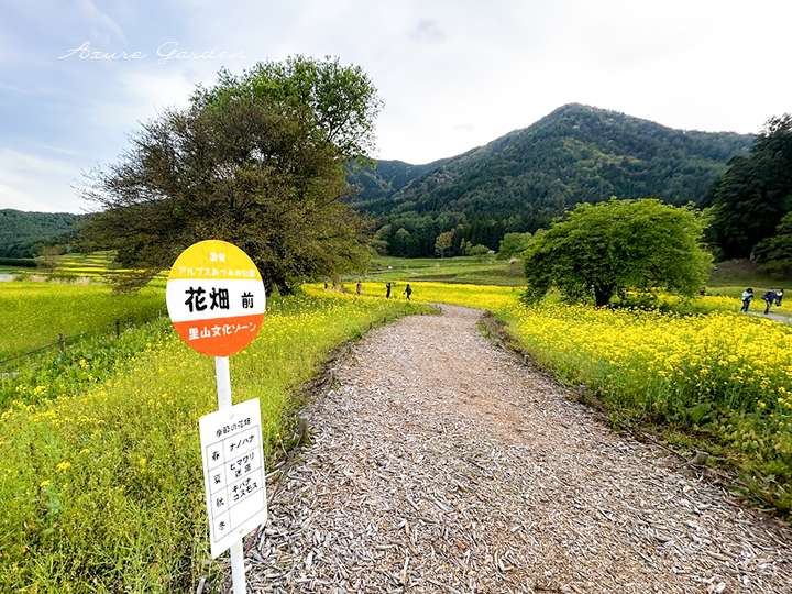 こちらにもバス停の案内がでていました。