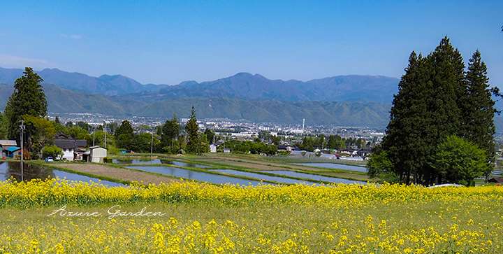 田んぼ越しに、安曇平の風景を一望できます。