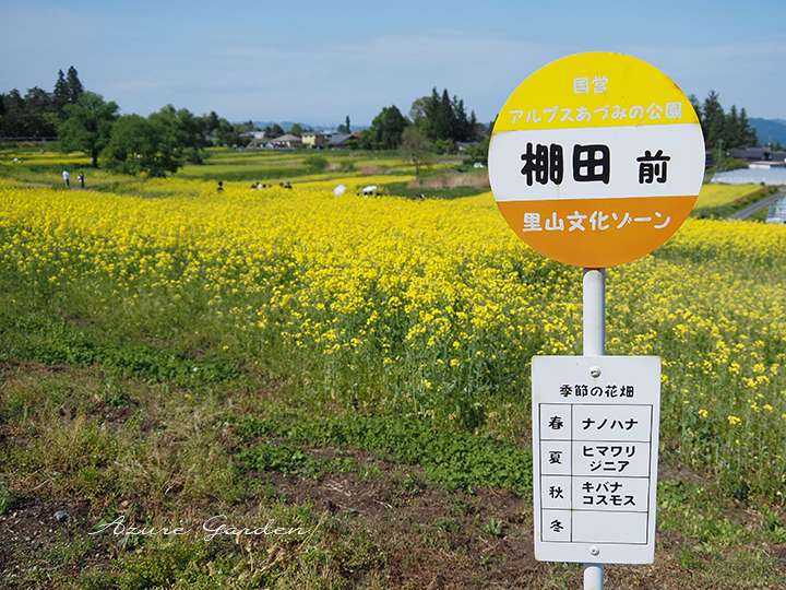 可愛らしいバス停風の標識が、現在地と季節の花を案内してくれます。