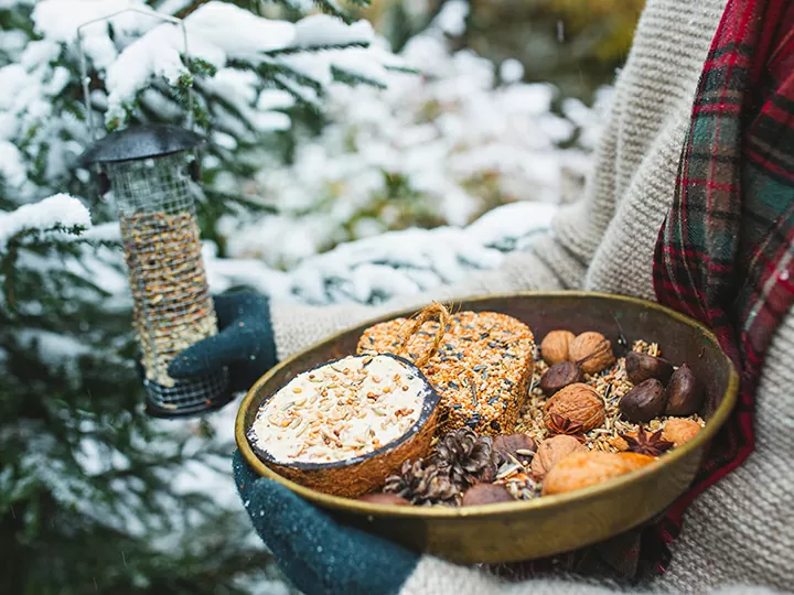 冬越しのために用意されたバードフード