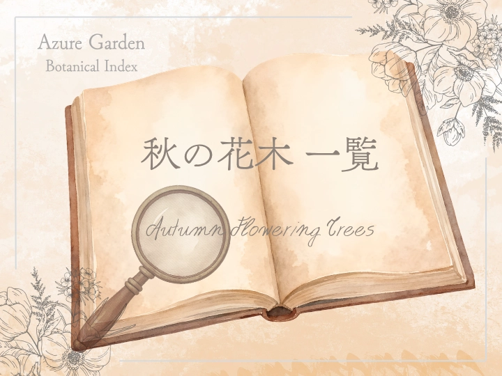 秋の花木一覧