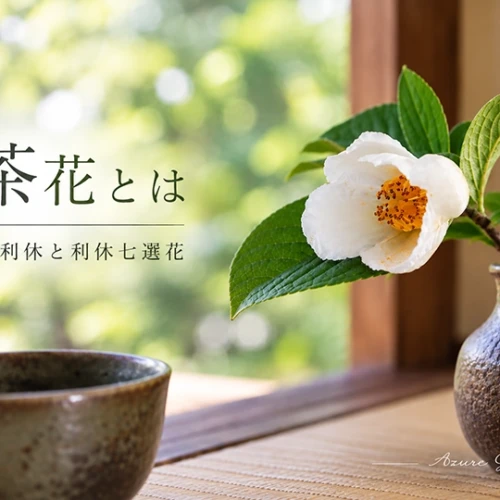 茶花について