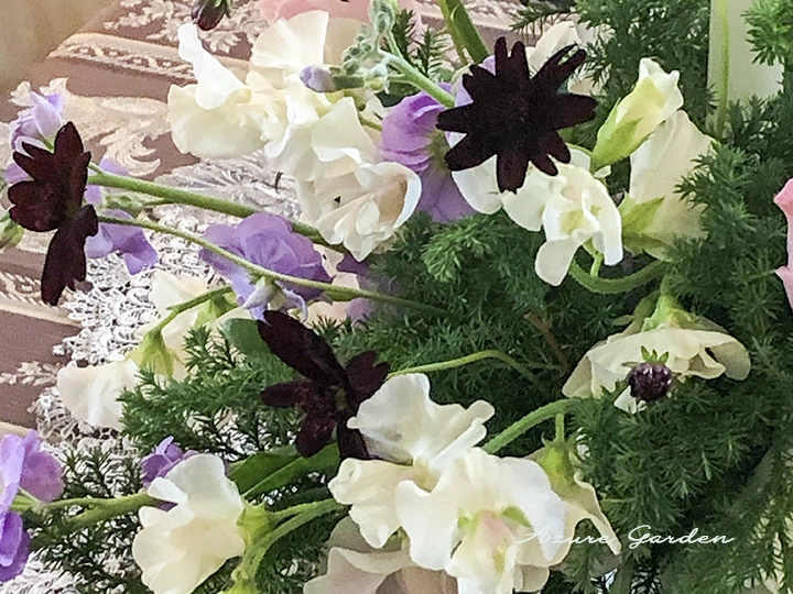 フラワーアレンジメントに利用されるチョコレートコスモス