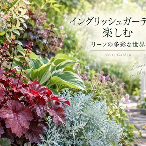 葉色や形、質感の違いを楽しむガーデンの植栽（イメージ）