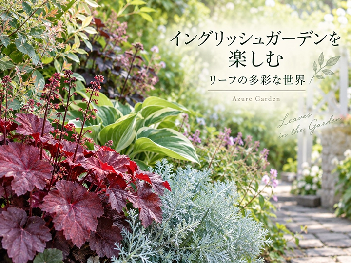 葉色や形、質感の違いを楽しむガーデンの植栽（イメージ）