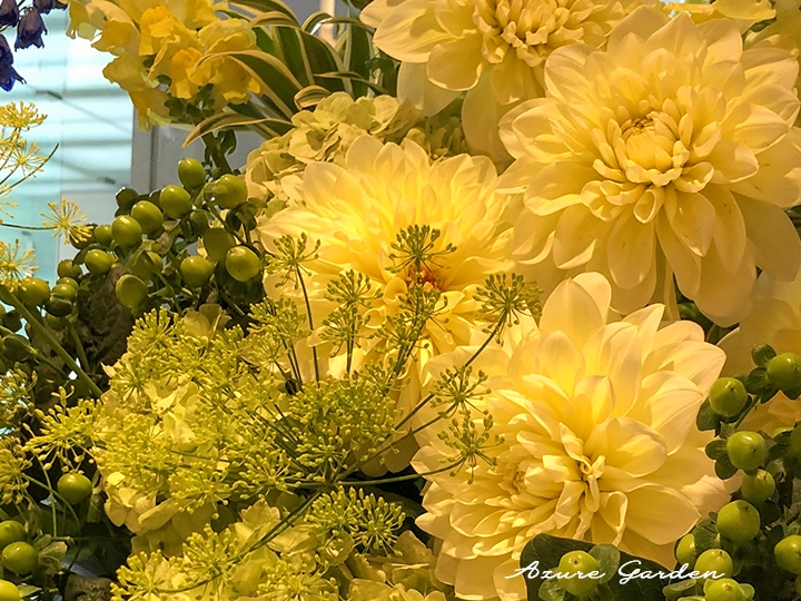 切り花でも利用されるダリアのアレンジメント