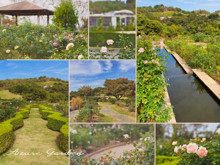 イングリッシュローズが彩る、自然豊かな庭園風景