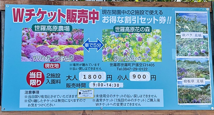 セット割引券情報