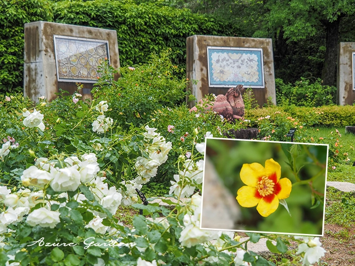 ぎふワールドローズガーデン　ペルシャのバラの庭（Persian Rose Garden）