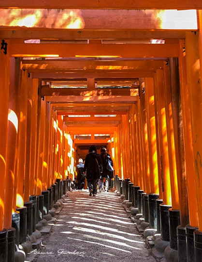 伏見稲荷大社の千本鳥居にみる朱色