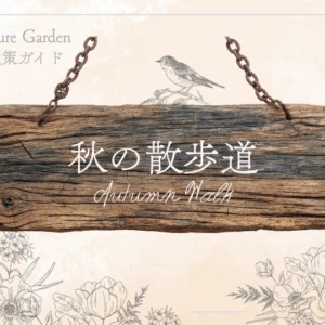 秋の散歩道｜秋を代表する花や花木を楽しむ