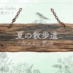 夏の散歩道｜夏を代表する花や花木を楽しむ