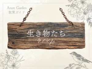 生き物たちと出会う