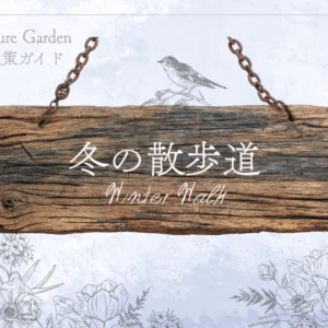 冬の散歩道｜冬を代表する花や花木を楽しむ
