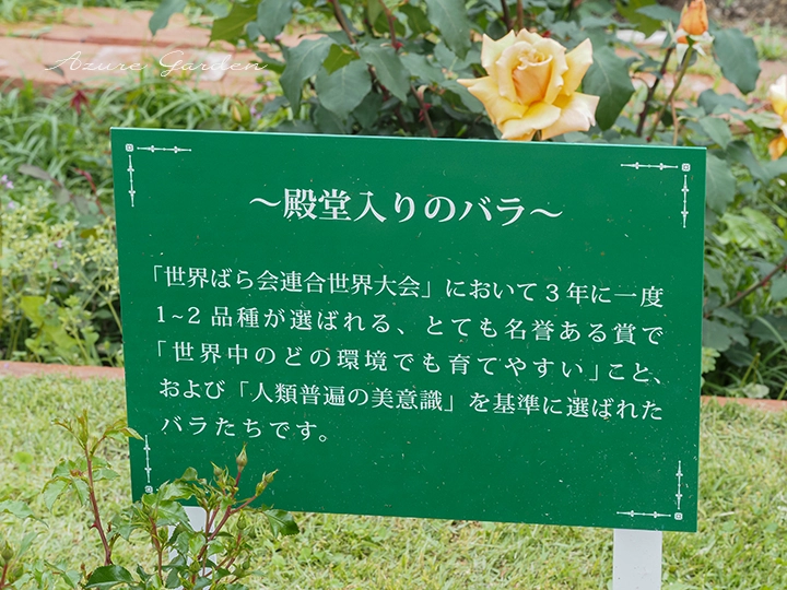 〜殿堂入りのバラ〜のエリア