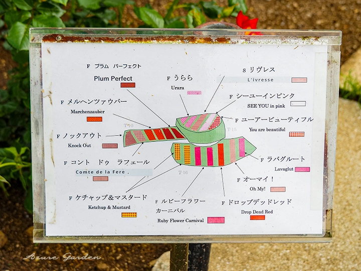 浜寺公園ばら庭園 山間の景に設置された繧繝模様の植栽デザイン案内板