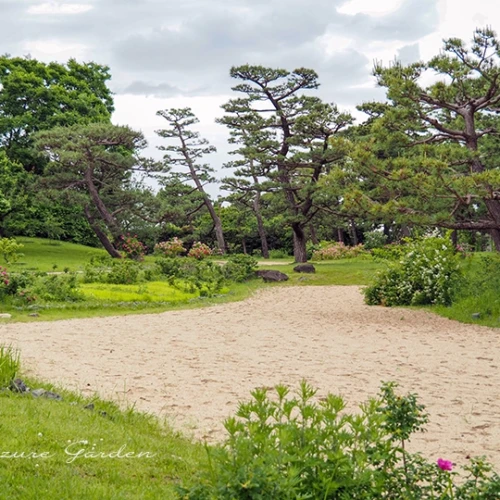 浜寺公園 ばら庭園（海辺の景）