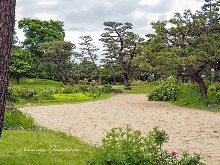 浜寺公園 ばら庭園(海辺の景)