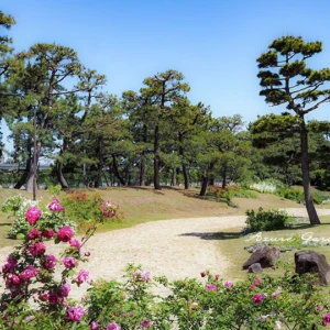 浜寺公園ばら庭園 ｜ 海辺の景を訪ねて