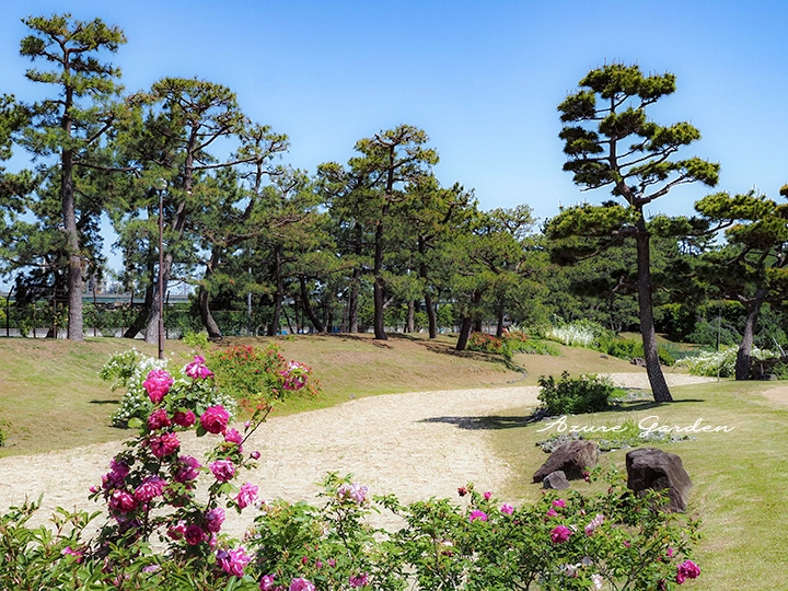 浜寺公園ばら庭園 海辺の景の様子