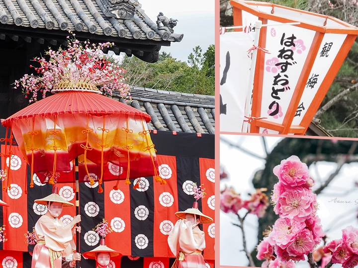 随心院のはねず祭り