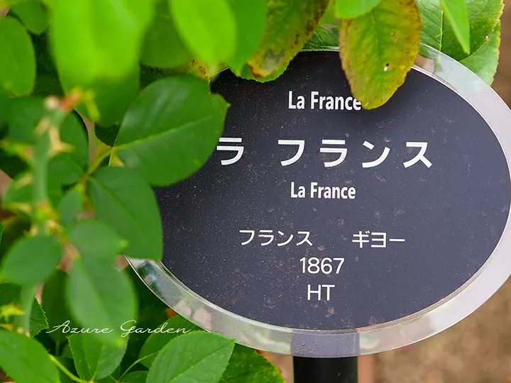 樹銘板