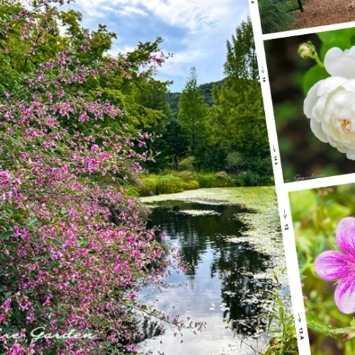 秋の軽井沢レイクガーデン