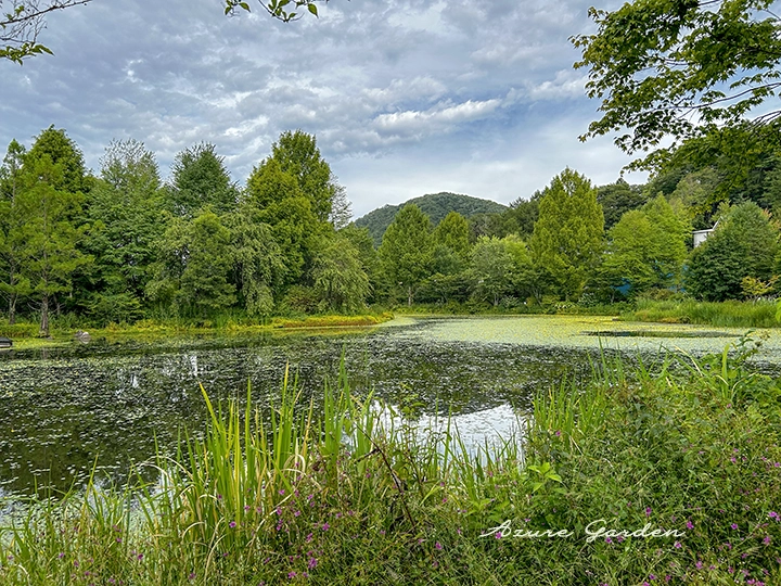 軽井沢レイクガーデン 9月中旬