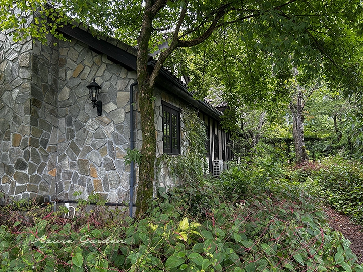 軽井沢レイクガーデン