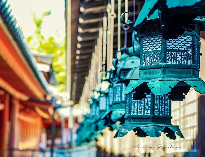 春日大社の万灯籠にみる青緑