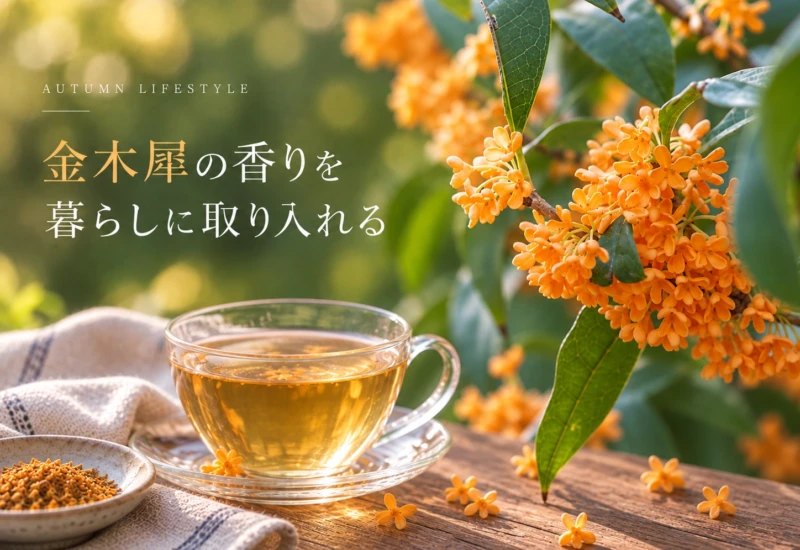暮らしに取り入れるキンモクセイ