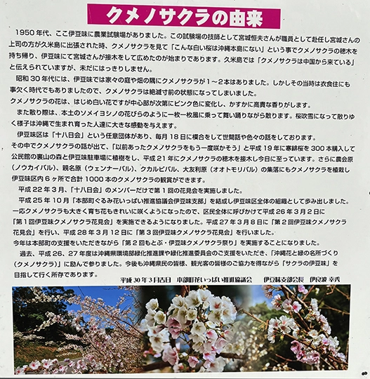 クメノサクラについての案内板