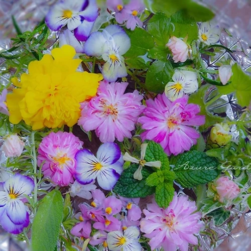 l'acqua di San Giovanni