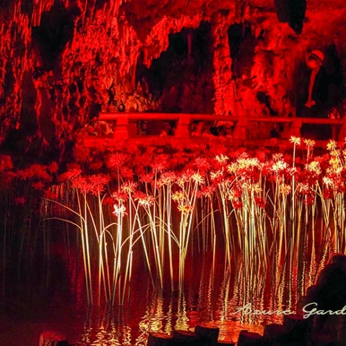 満奇洞 - 森の芸術祭　岡山