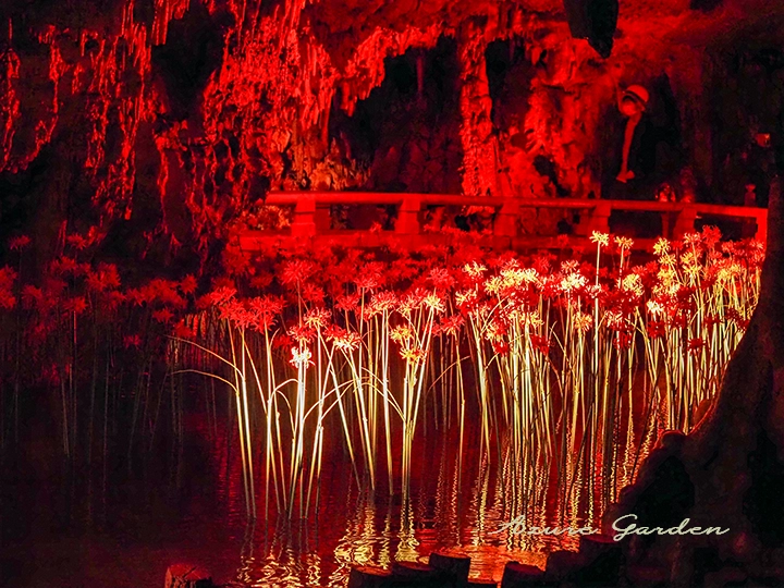 満奇洞 - 森の芸術祭　岡山