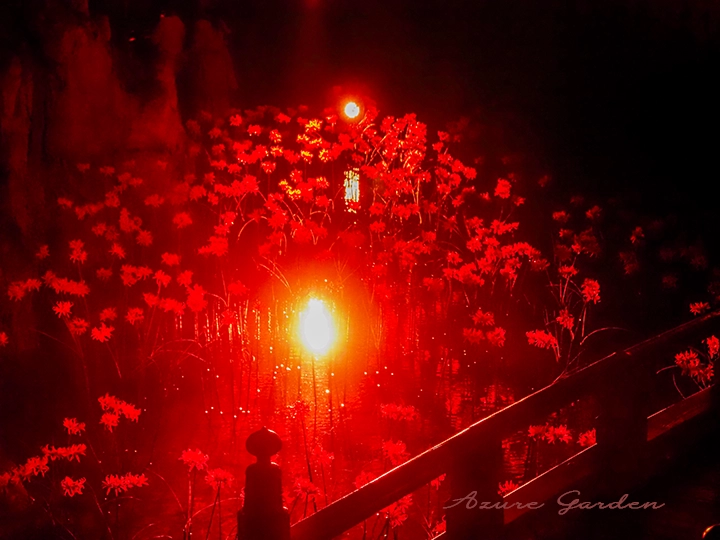 蜷川実花 with EiM の体験型アート作品