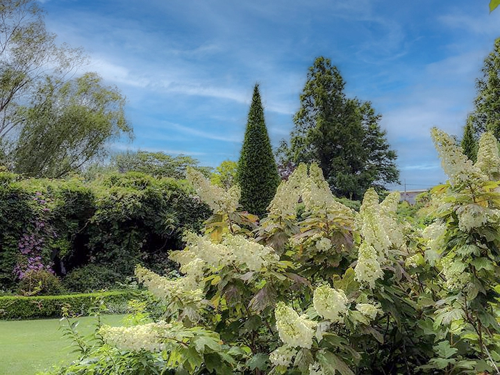 高さの異なる植物で構成されたフォーマルガーデン
