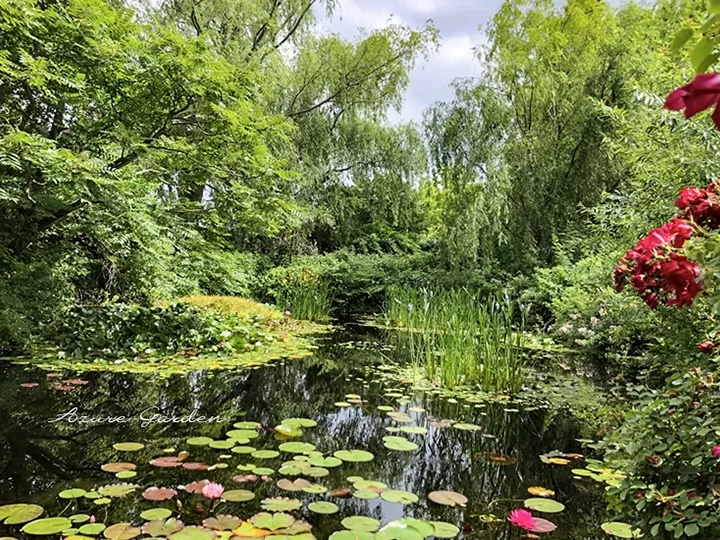 水辺のある風景式庭園