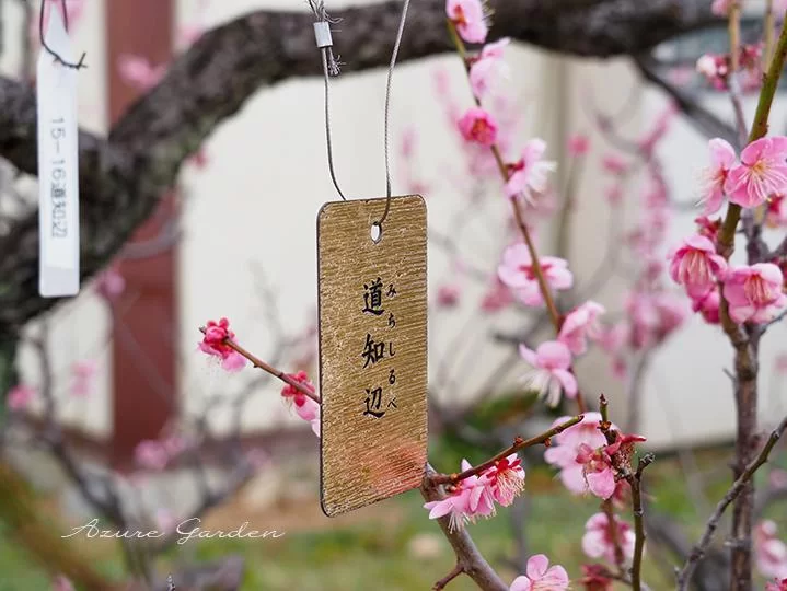 道知辺（みちしるべ）