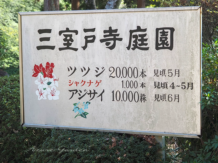 季節の花々が咲き誇る三室戸寺庭園