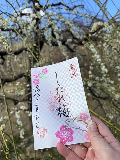しだれ梅の季節限定御朱印