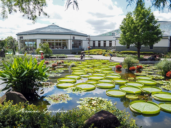 花影の池の橋から見た風景