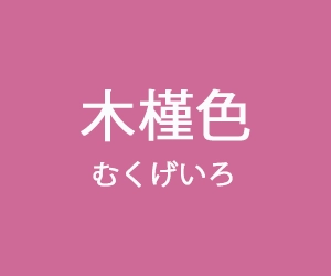 日本の伝統色 - 木槿色（むくげいろ）
