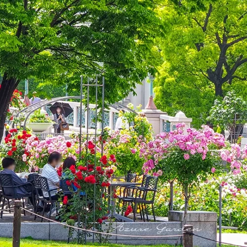 中之島バラ園（Nakanoshima Rose Garden）