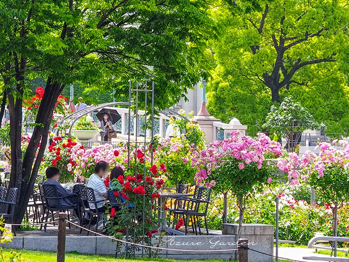 中之島バラ園（Nakanoshima Rose Garden）